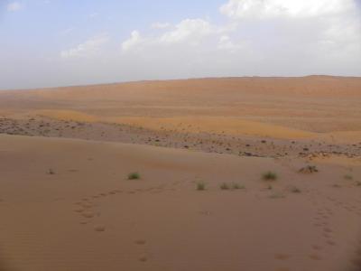 Ascension de dune