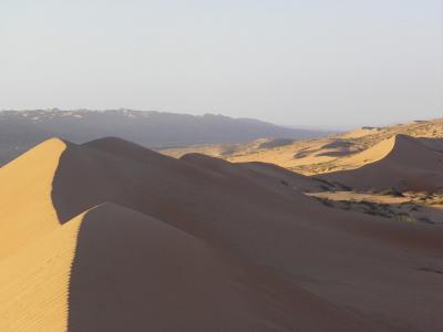 Cordon de dunes