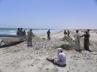 Travail autour du filet