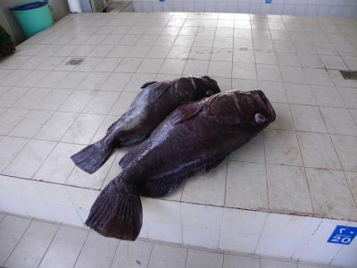 Marché aux poissons