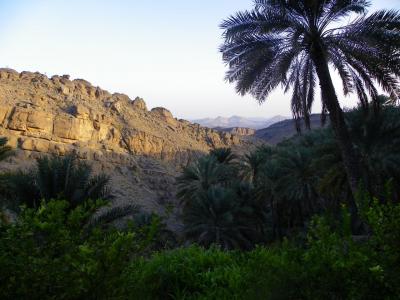 Contrastes avec le soleil déclinant