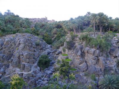 Sentier vers le bas de la gorge