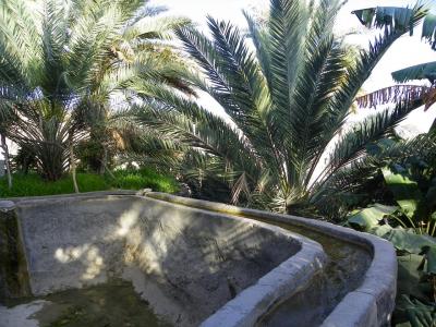 Falaj parmi la verdure