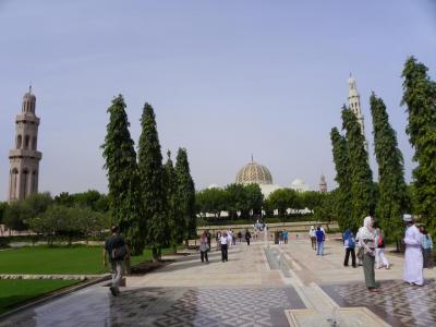 Havre de verdure et au milieu la mosquée