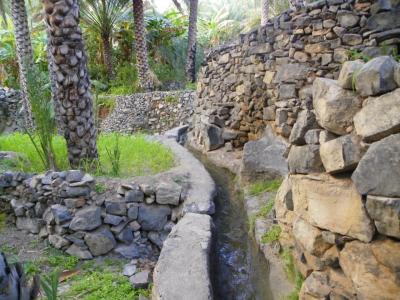 Falaj au petit matin