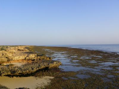 Marche au bord de l'océan